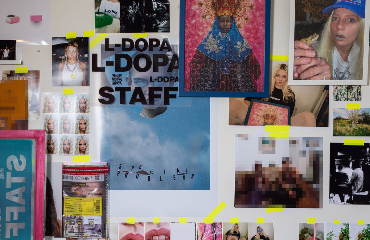 L-DOPA 'The Fly Issue'