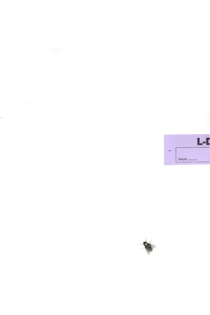 L-DOPA 'The Fly Issue'