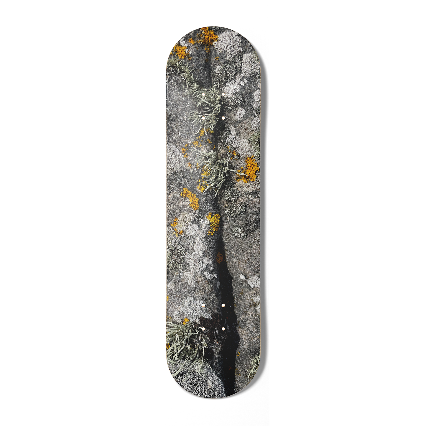 'LICHEN' SKATEBOARD